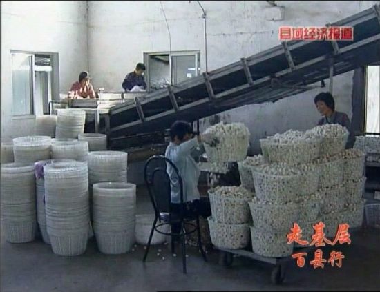 放大