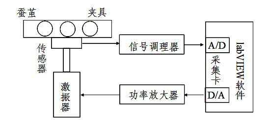 放大