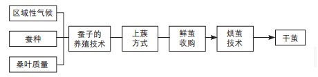 放大